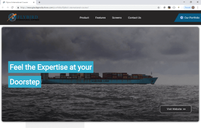 Flybird International